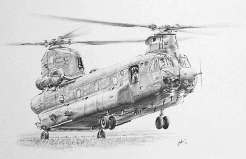 Chinook