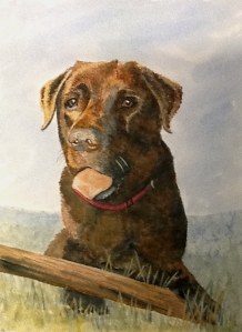 watercolour labrador