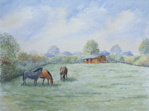 learn Watercolour, watercolour tutorial, horses in paddock