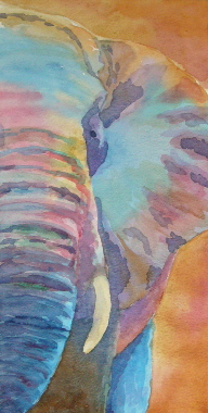 watercolour painting, Elephant 
