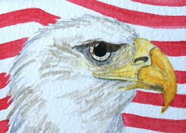 watercolour painting, Bald Eagle